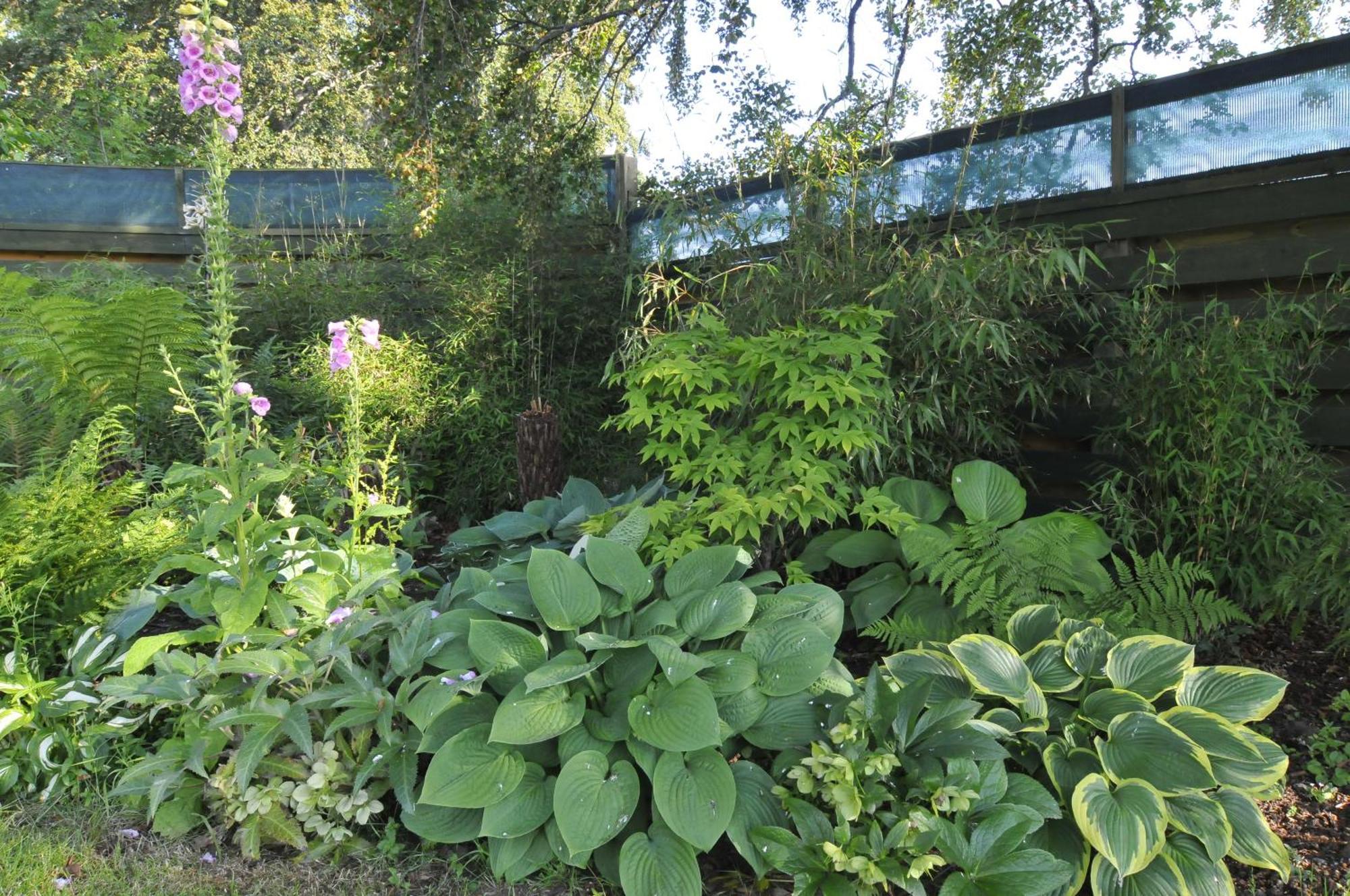 Home Farm Bed And Breakfast Мьюир-оф-Орд Экстерьер фото
